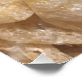 ピグスキン ポスター (コーナー)