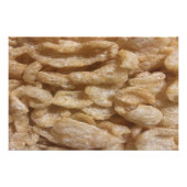 ピグスキン ポスター (正面)