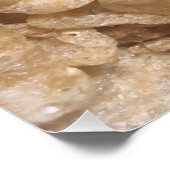 ピグスキン ポスター (コーナー)