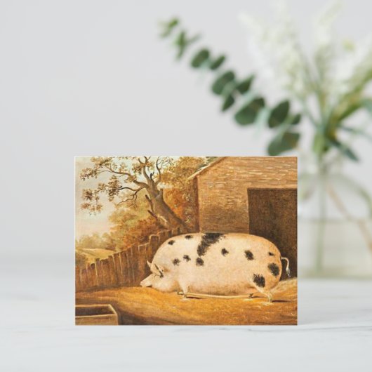 ピグスポッテッドホッグヴィンテージファームアート絵画ズ ポストカード (スタンド正面)