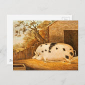 ピグスポッテッドホッグヴィンテージファームアート絵画ズ ポストカード (正面/裏面)