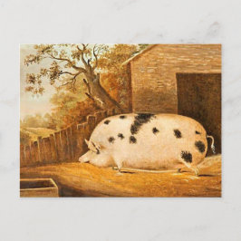 ピグスポッテッドホッグヴィンテージファームアート絵画ズ ポストカード