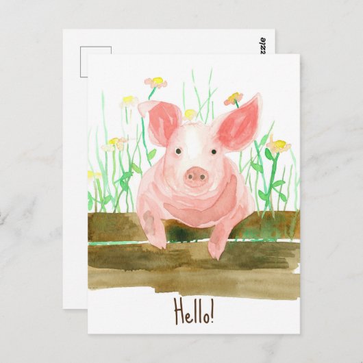 ピグファーム動物納屋周囲の庭フェンスワイルドフラワー ポストカード (正面/裏面)