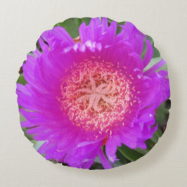 ピグフェイス丸枕 ラウンドクッション