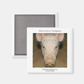 ピグプロモピース マグネット (正面/裏面)