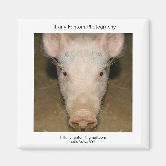 ピグプロモピース マグネット (正面)