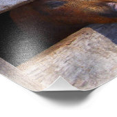 ピグペンペアのぞき豚 フォトプリント            (角)