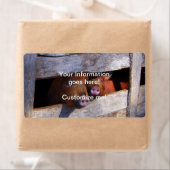 ピグペンペアのぞき豚 ラベル (インサイチュ)