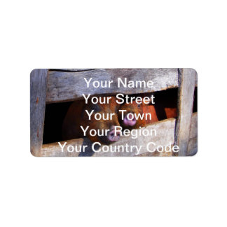 ピグペンペアのぞき豚 ラベル