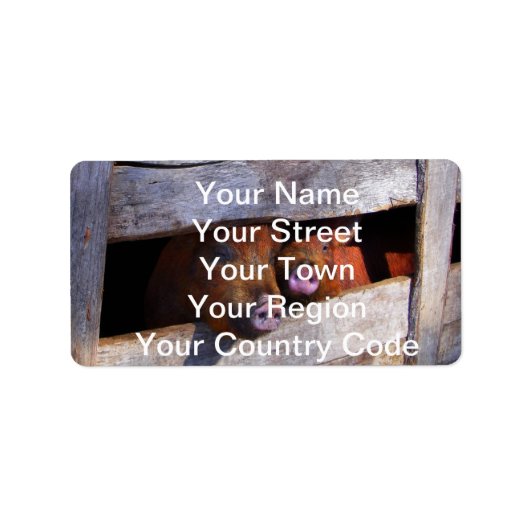 ピグペンペアのぞき豚 ラベル (正面)