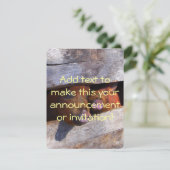 ピグペンペアのぞき豚 招待状 (スタンド正面)