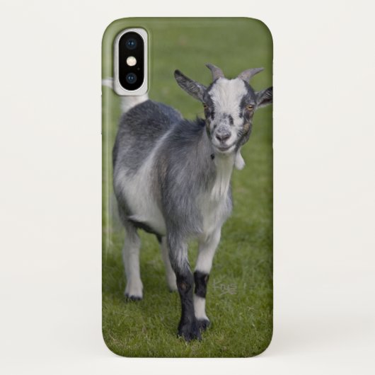 ピグマイヤギiPhone Xケース Case-Mate iPhoneケース (裏面)