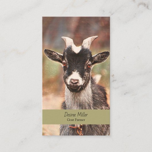 ピグマイヤートカントリーファーム 名刺 (正面)