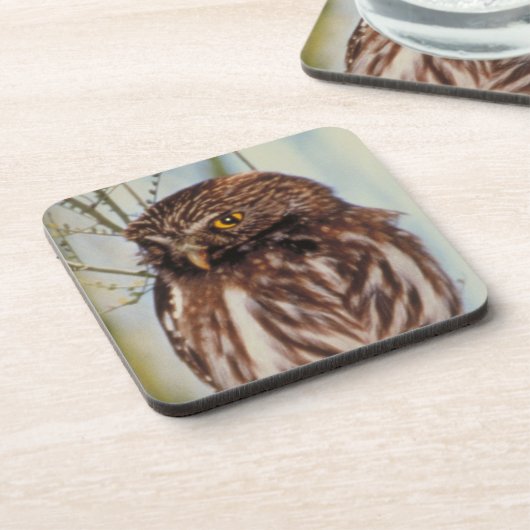 ピグミフクロウ コースター (左側)