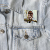 ピグミーのフクロウ 缶バッジ (インサイチュ)