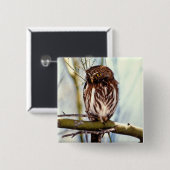 ピグミーのフクロウ 缶バッジ (正面&裏面)