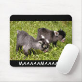 ピグミーのヤギの子供。 MAAAAAMAAAAA! マウスパッド (マウス)