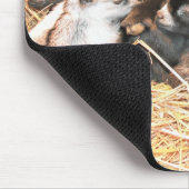 ピグミーのヤギ マウスパッド (コーナー)