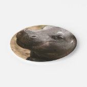 ピグミーカバ1 ペーパープレート (アングル)