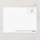 ピグミーヤギ葉書 ポストカード (裏面)