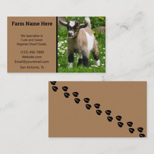 ピグミー矮性山羊繁殖家 名刺 (正面/裏面)