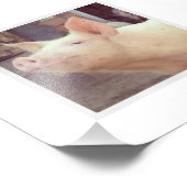 ピグレット写真 フォトプリント            (角)