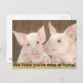 ピグレット ポストカード (正面/裏面)