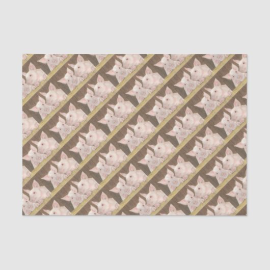 ピグレット 薄葉紙 (正面)