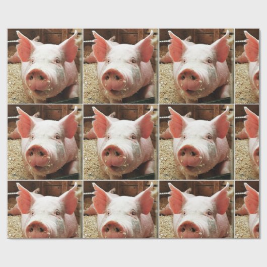 ピグ包装紙 ラッピングペーパー (フラット)