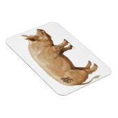 ピグ磁石 マグネット (右側)