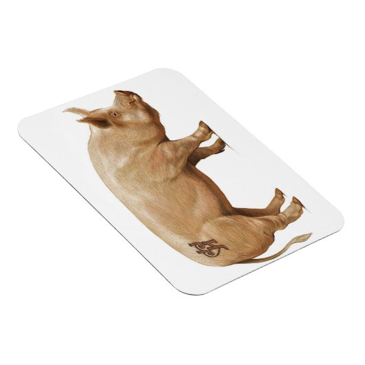 ピグ磁石 マグネット (右側)