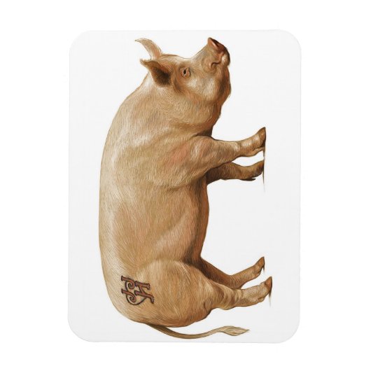 ピグ磁石 マグネット (縦)