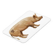 ピグ磁石 マグネット (左側)