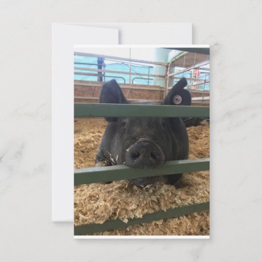 ピグ空白のインサイドカード サンキューカード (正面)