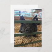 ピグ空白のインサイドカード サンキューカード (正面/裏面)