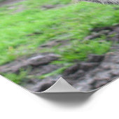 ピグ顔 ポスター (角)