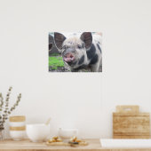 ピグ顔 ポスター (キッチン)