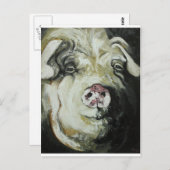 ピグ#7 ポストカード (正面/裏面)