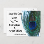 ピコエレガントック日付を保存 案内ポストカード (正面/裏面)