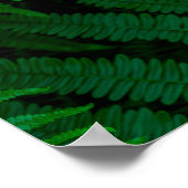 ピコ島シダ ポスター (角)