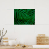 ピコ島シダ ポスター (キッチン)