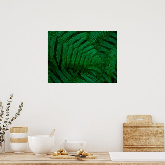 ピコ島シダ ポスター (キッチン)