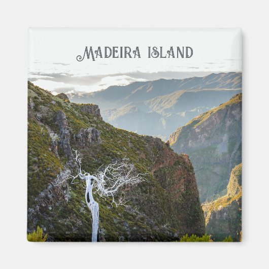 ピコ・ルイーヴォのハイキング風景、マデイラ島の旅 マグネット (正面)