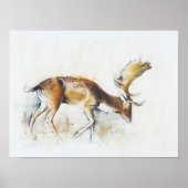 ピサネロバック2006 ポスター (正面)