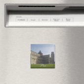 ピサ磁石 マグネット (インサイチュ (食洗機))