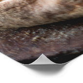 ピザポスター ポスター (角)