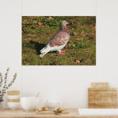 ピジョンアットロアースパークレイクカーディフ ポスター (キッチン)