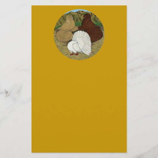 ピジョンコンボ 便箋 (正面)