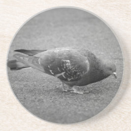 ピジョンコースター コースター