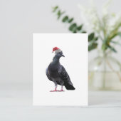 ピジョンサンタハット シーズンポストカード (スタンド正面)